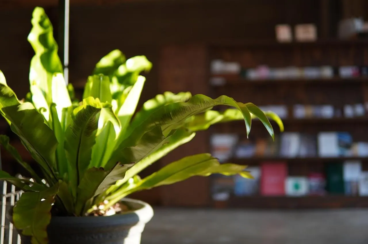 Hostel Niniroom 京都市