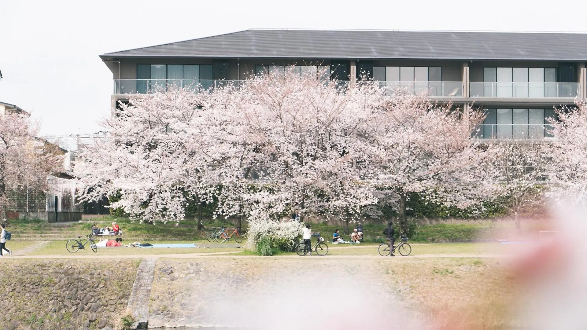 Hostel Niniroom 京都市